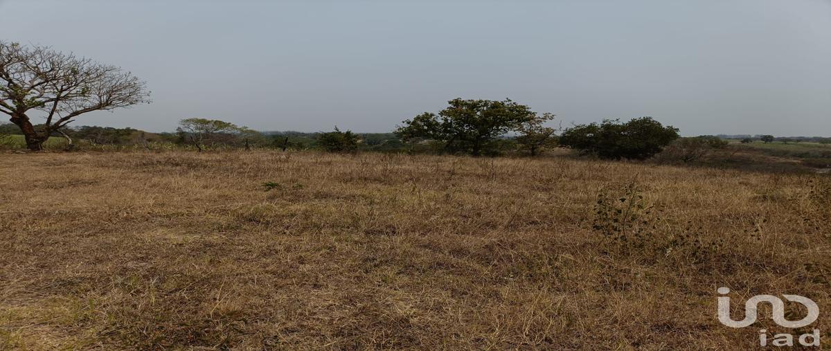 Foto de terreno habitacional en venta en sin nombre , la aurora, emiliano zapata, veracruz de ignacio de la llave, 0 No. 05