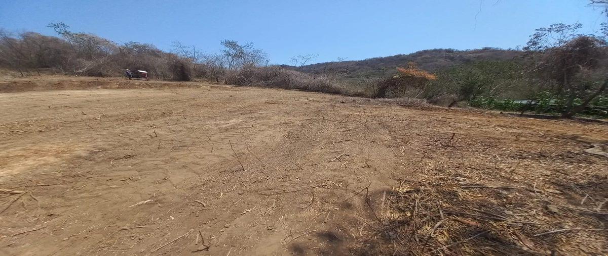 Foto de terreno habitacional en venta en sin nombre , la ropa, zihuatanejo de azueta, guerrero, 31083110 No. 03