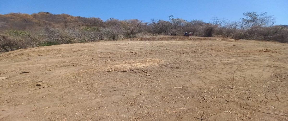 Foto de terreno habitacional en venta en sin nombre , la ropa, zihuatanejo de azueta, guerrero, 31083110 No. 04