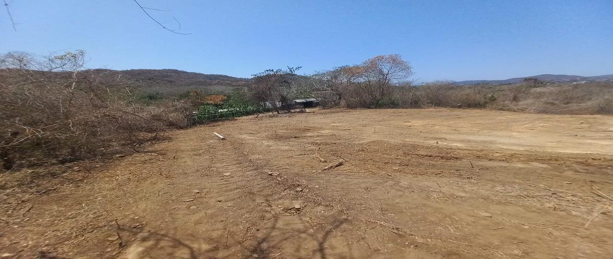 Foto de terreno habitacional en venta en sin nombre , la ropa, zihuatanejo de azueta, guerrero, 31083110 No. 05