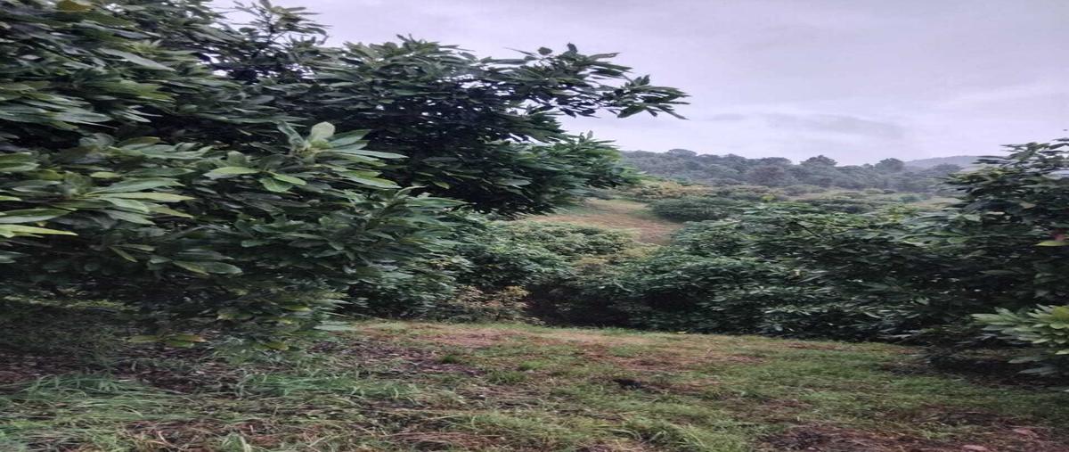 Foto de rancho en venta en sin nombre , las adelitas, zacapu, michoacán de ocampo, 29310406 No. 01