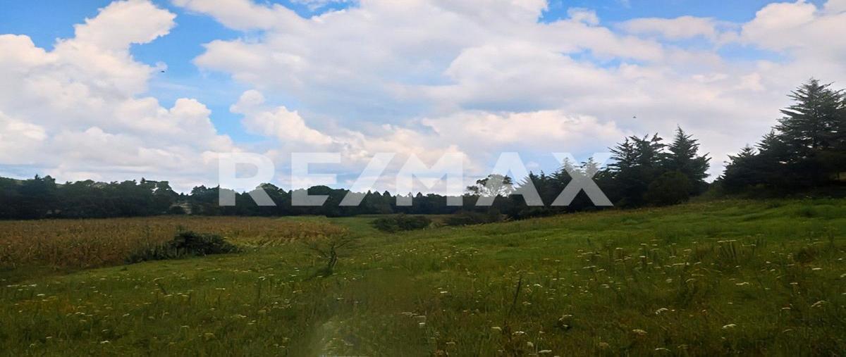 Foto de terreno habitacional en venta en sin nombre , loma de chupio, irimbo, michoacán de ocampo, 0 No. 03
