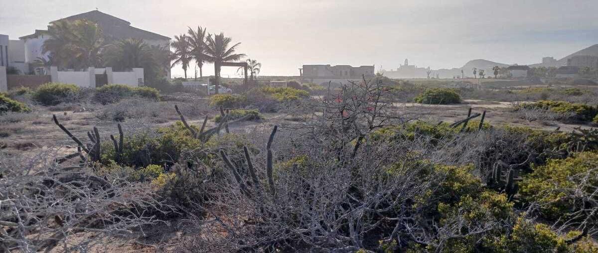 Foto de terreno habitacional en venta en sin nombre , los cerritos, la paz, baja california sur, 29749595 No. 05