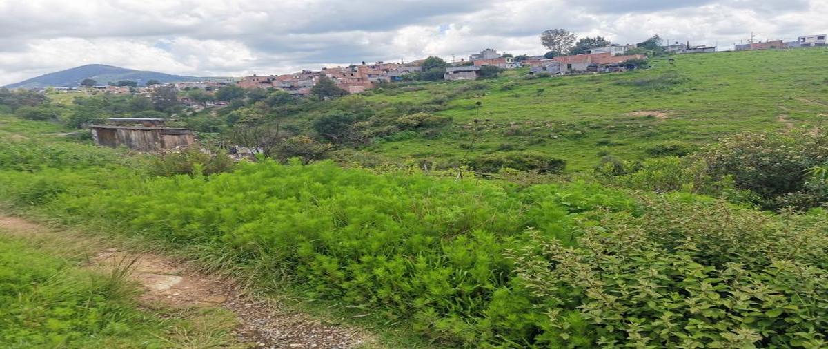 Foto de terreno habitacional en venta en sin nombre , los encinos, morelia, michoacán de ocampo, 25458772 No. 02