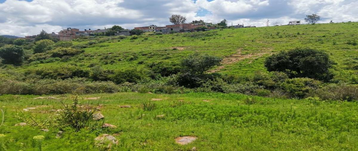 Foto de terreno habitacional en venta en sin nombre , los encinos, morelia, michoacán de ocampo, 25458772 No. 03