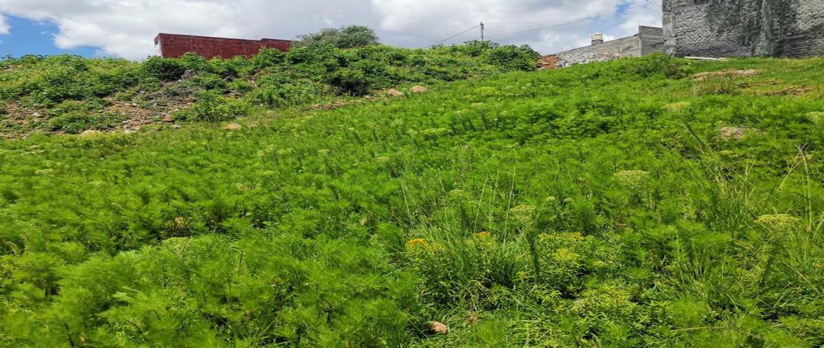 Foto de terreno habitacional en venta en sin nombre , los encinos, morelia, michoacán de ocampo, 25458772 No. 04