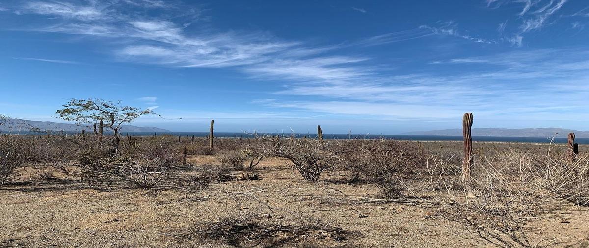Foto de terreno habitacional en venta en sin nombre , los planes, la paz, baja california sur, 19010004 No. 03