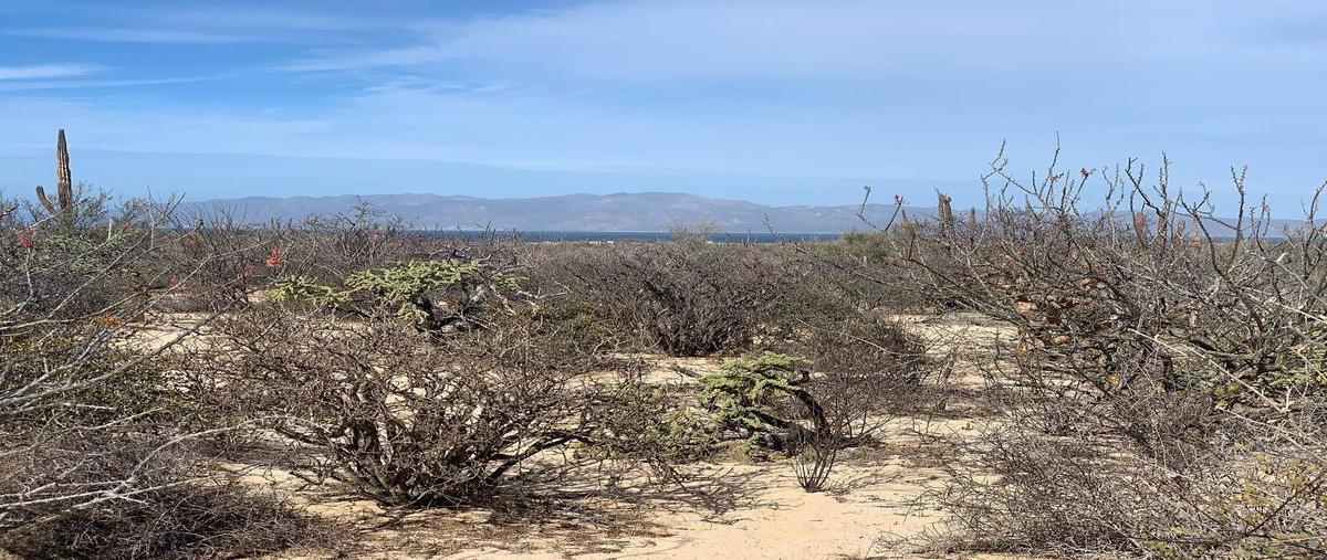 Foto de terreno habitacional en venta en sin nombre , los planes, la paz, baja california sur, 19010004 No. 04