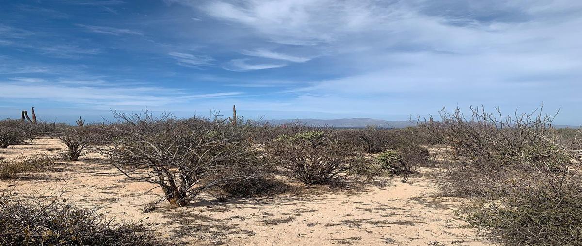 Foto de terreno habitacional en venta en sin nombre , los planes, la paz, baja california sur, 19010004 No. 05
