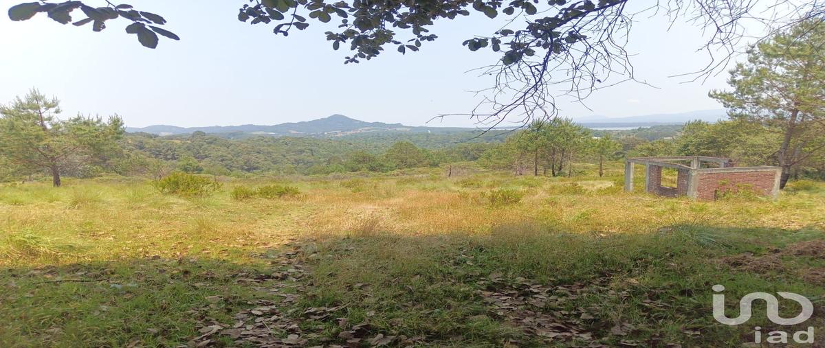 Foto de terreno habitacional en venta en sin nombre , los reyes, acaxochitlán, hidalgo, 31389880 No. 03