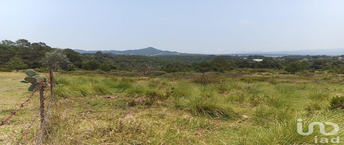 Foto de terreno habitacional en venta en sin nombre , los reyes, acaxochitlán, hidalgo, 31389880 No. 04