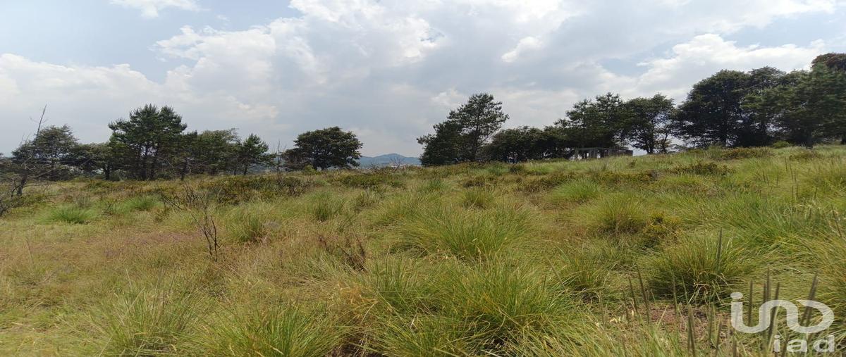 Foto de terreno habitacional en venta en sin nombre , los reyes, acaxochitlán, hidalgo, 31389880 No. 05