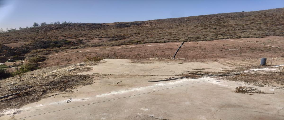 Foto de terreno habitacional en venta en sin nombre , maneadero, ensenada, baja california, 28683393 No. 04