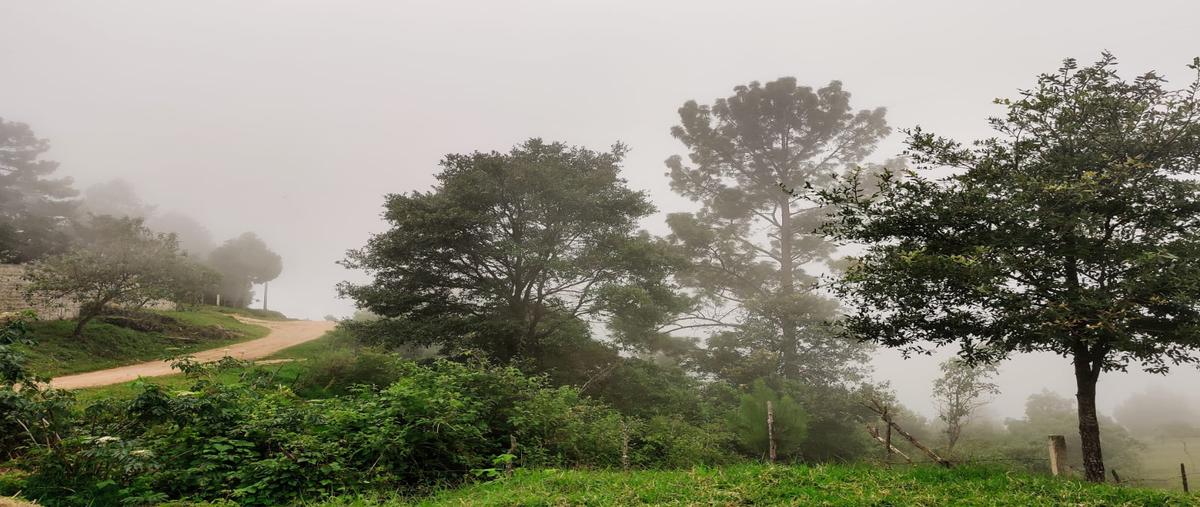 Foto de terreno habitacional en sin nombre , maría auxiliadora, san cristóbal de las casas, chiapas, 28476790 foto 02 Foto de terreno habitacional en venta en sin nombre , maría auxiliadora, san cristóbal de las casas, chiapas, 28476790 No. 02