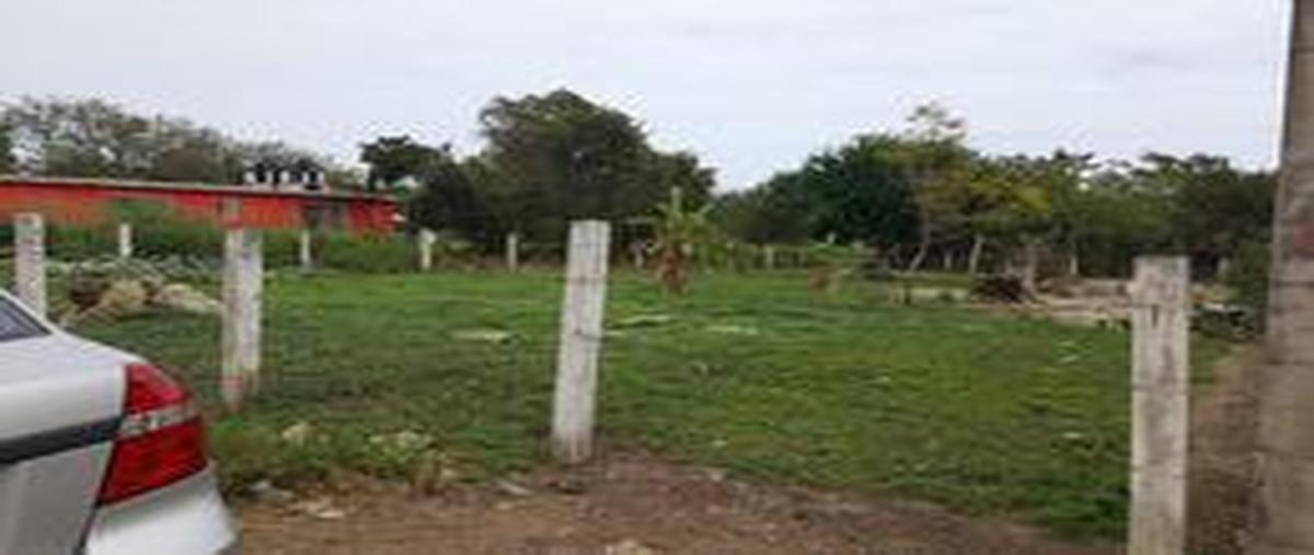 Foto de terreno habitacional en sin nombre , mata redonda, pueblo viejo, veracruz de ignacio de la llave, 24921227 foto 02 Foto de terreno habitacional en venta en sin nombre , mata redonda, pueblo viejo, veracruz de ignacio de la llave, 24921227 No. 02