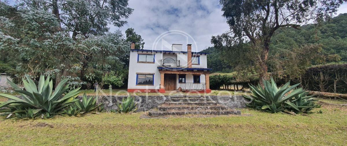 Foto de casa en venta en sin nombre , mesón viejo, temascaltepec, méxico, 27618580 No. 04
