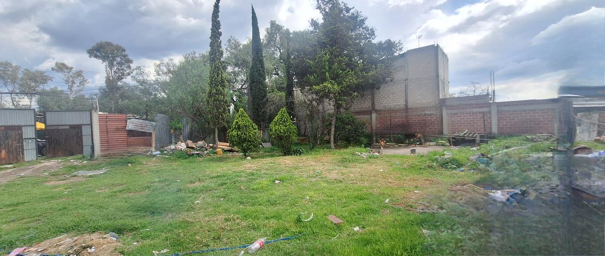 Foto de terreno habitacional en venta en sin nombre , montecillo, texcoco, méxico, 30430124 No. 03