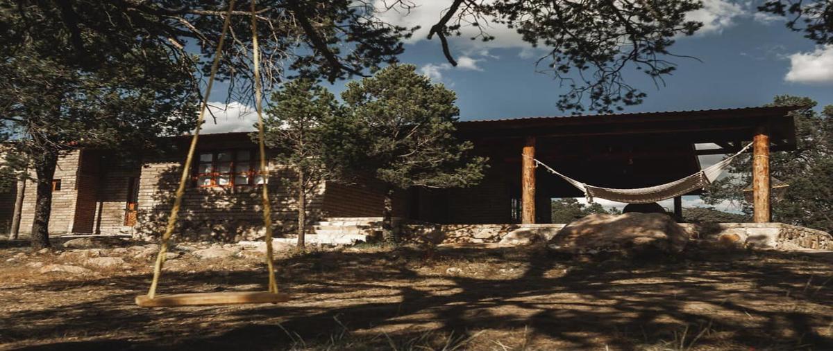 Foto de rancho en venta en sin nombre , otinapa, durango, durango, 28173676 No. 05