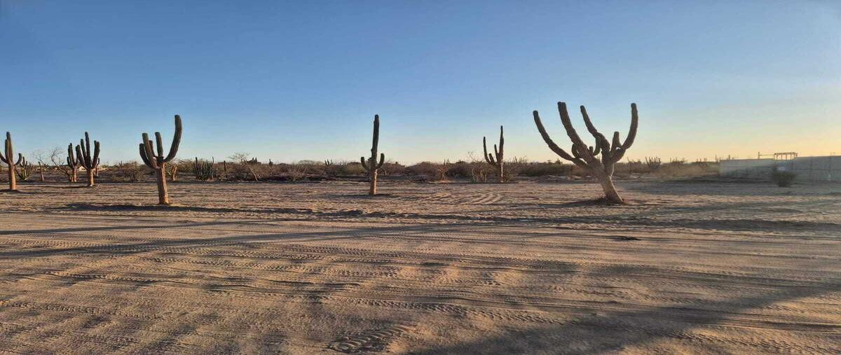 Foto de terreno habitacional en sin nombre , perla del golfo, la paz, baja california sur, 30171060 foto 01 Foto de terreno habitacional en venta en sin nombre , perla del golfo, la paz, baja california sur, 30171060 No. 01