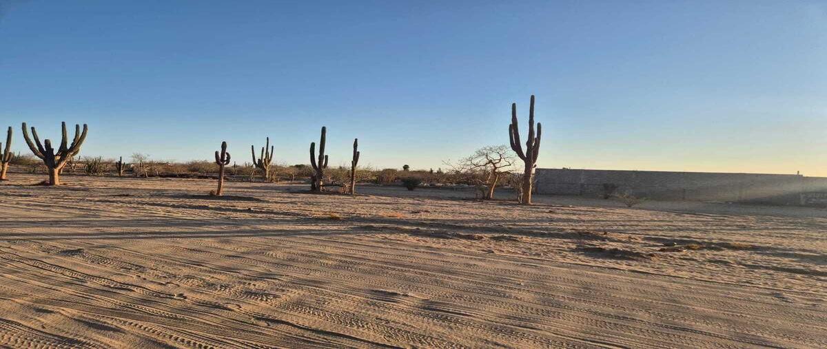 Foto de terreno habitacional en sin nombre , perla del golfo, la paz, baja california sur, 30171060 foto 02 Foto de terreno habitacional en venta en sin nombre , perla del golfo, la paz, baja california sur, 30171060 No. 02