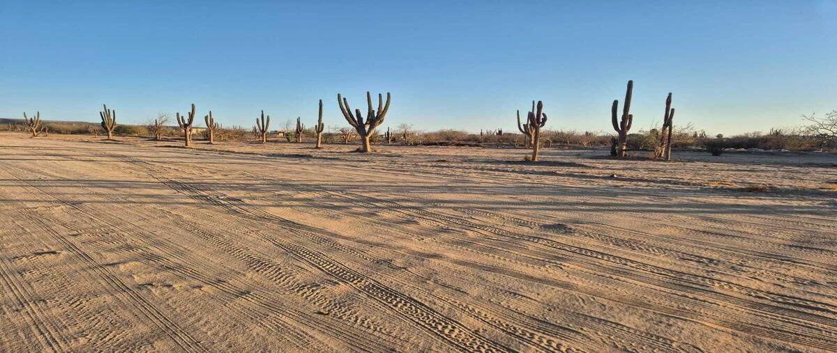 Foto de terreno habitacional en sin nombre , perla del golfo, la paz, baja california sur, 30171060 foto 03 Foto de terreno habitacional en venta en sin nombre , perla del golfo, la paz, baja california sur, 30171060 No. 03