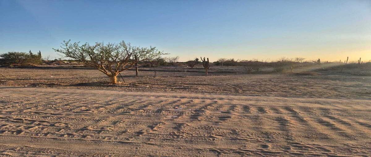 Foto de terreno habitacional en venta en sin nombre , perla del golfo, la paz, baja california sur, 0 No. 03