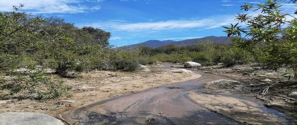 Foto de rancho en venta en sin nombre , pescadero, la paz, baja california sur, 29419676 No. 01