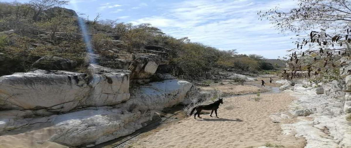 Foto de rancho en venta en sin nombre , pescadero, la paz, baja california sur, 29419676 No. 02