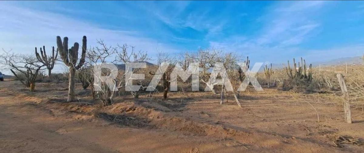 Foto de terreno habitacional en venta en sin nombre , pescadero, la paz, baja california sur, 0 No. 03