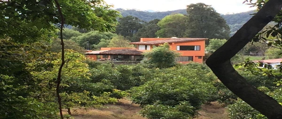 Foto de terreno habitacional en venta en sin nombre , pipioltepec, valle de bravo, méxico, 24017497 No. 04