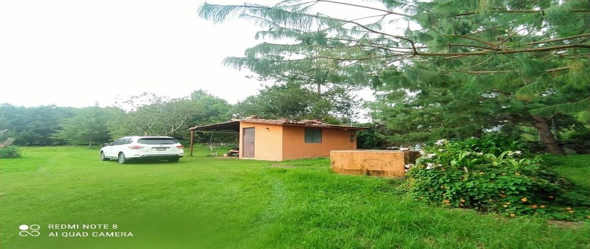 Foto de terreno habitacional en venta en sin nombre , pipioltepec, valle de bravo, méxico, 24017497 No. 05