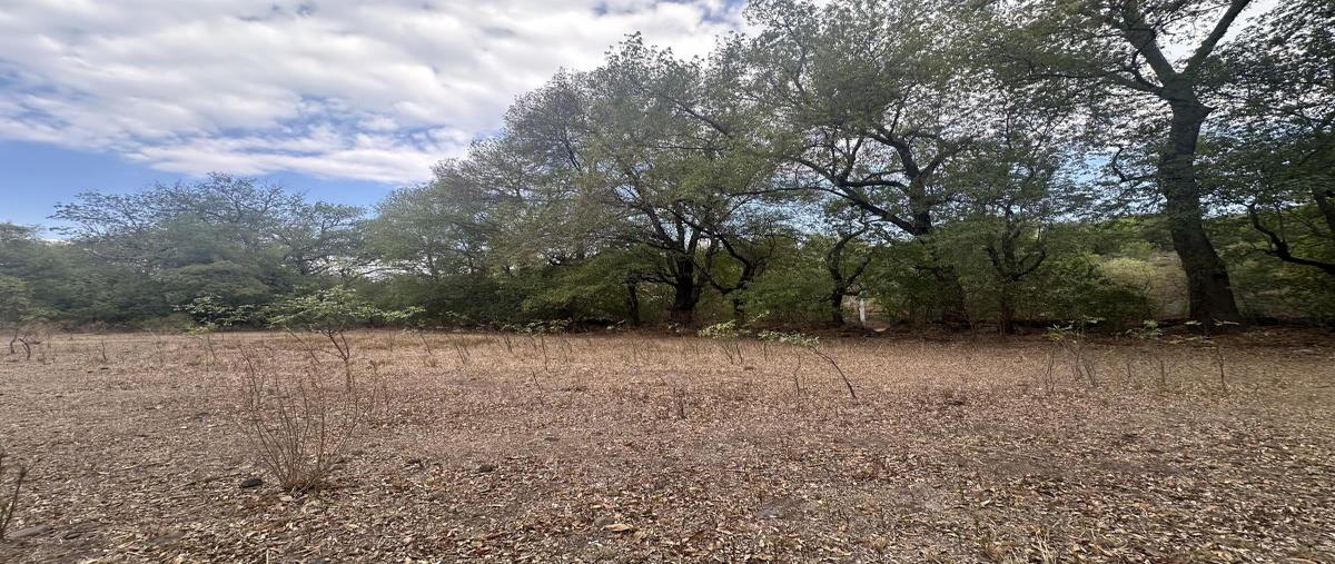 Foto de terreno habitacional en venta en sin nombre , san andrés (san andrés tultepec), tula de allende, hidalgo, 0 No. 04