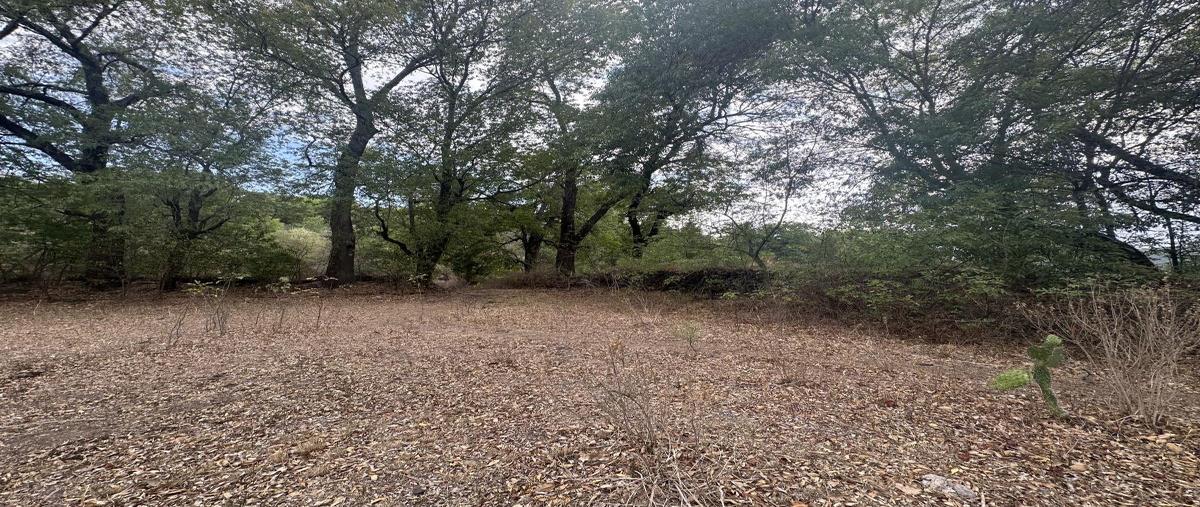 Foto de terreno habitacional en venta en sin nombre , san andrés (san andrés tultepec), tula de allende, hidalgo, 0 No. 05