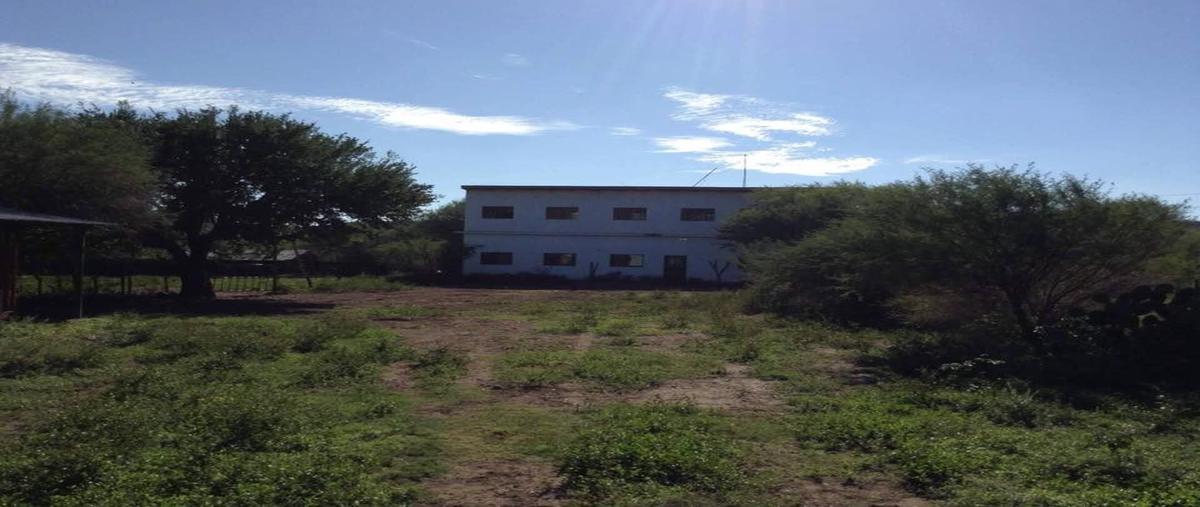 Foto de rancho en venta en sin nombre , san carlos, san carlos, tamaulipas, 25412514 No. 06