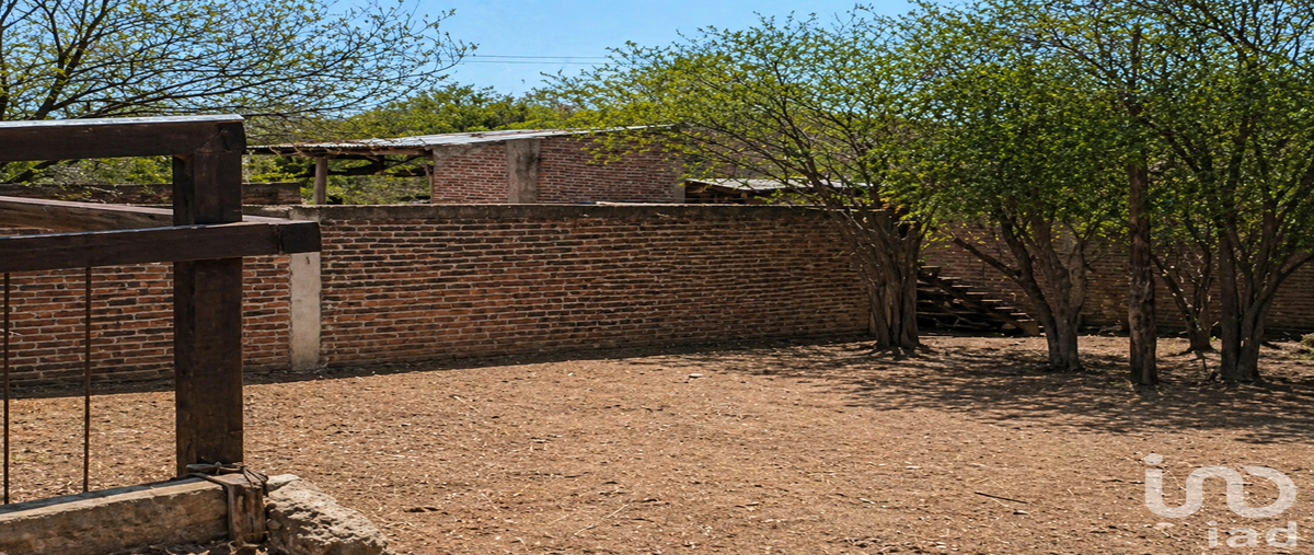 Foto de terreno habitacional en venta en sin nombre , san gabriel y san ignacio, pénjamo, guanajuato, 31112789 No. 05