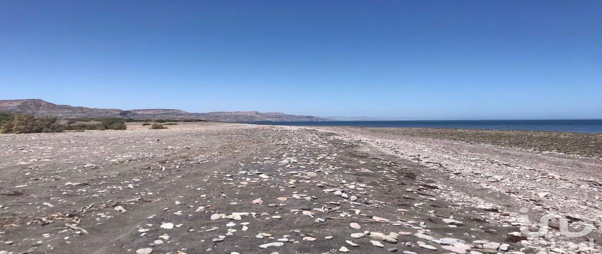Foto de terreno habitacional en sin nombre , san juan de la costa, la paz, baja california sur, 0 foto 04 Foto de terreno habitacional en venta en sin nombre , san juan de la costa, la paz, baja california sur, 0 No. 04