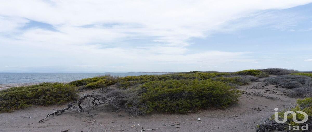 Foto de terreno habitacional en sin nombre , san juan de la costa, la paz, baja california sur, 0 foto 05 Foto de terreno habitacional en venta en sin nombre , san juan de la costa, la paz, baja california sur, 0 No. 05