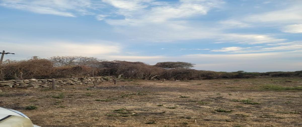 Foto de terreno habitacional en venta en sin nombre , san juan tecomatlán, poncitlán, jalisco, 28613891 No. 03
