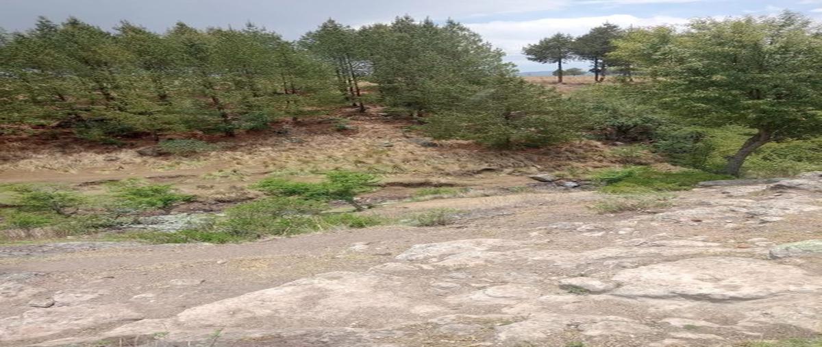 Foto de terreno habitacional en venta en sin nombre , san pedro calvario del carmen, san felipe del progreso, méxico, 0 No. 03