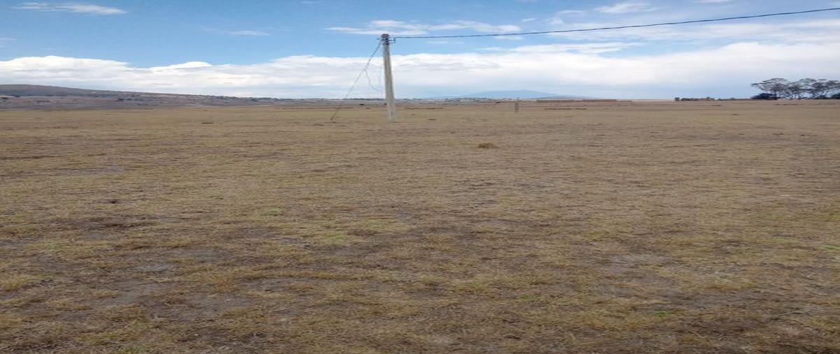 Foto de terreno habitacional en venta en sin nombre , san pedro calvario del carmen, san felipe del progreso, méxico, 0 No. 04
