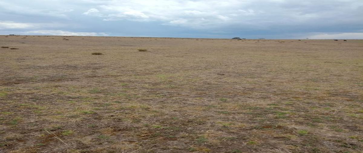 Foto de terreno habitacional en venta en sin nombre , san pedro calvario del carmen, san felipe del progreso, méxico, 0 No. 05