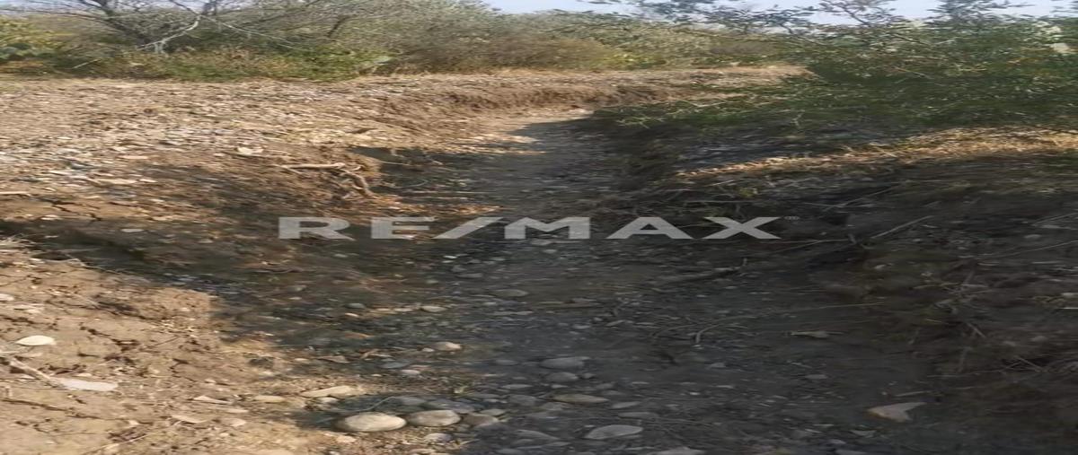 Foto de terreno industrial en venta en sin nombre , san pedro, general terán, nuevo león, 0 No. 04