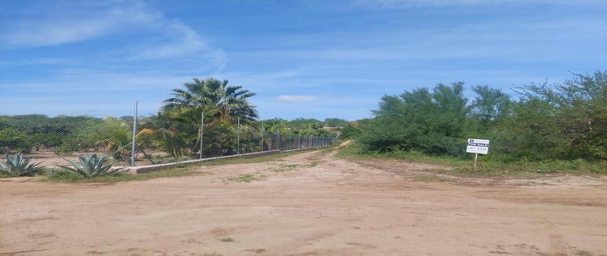 Foto de terreno habitacional en venta en sin nombre , san pedro, la paz, baja california sur, 0 No. 04