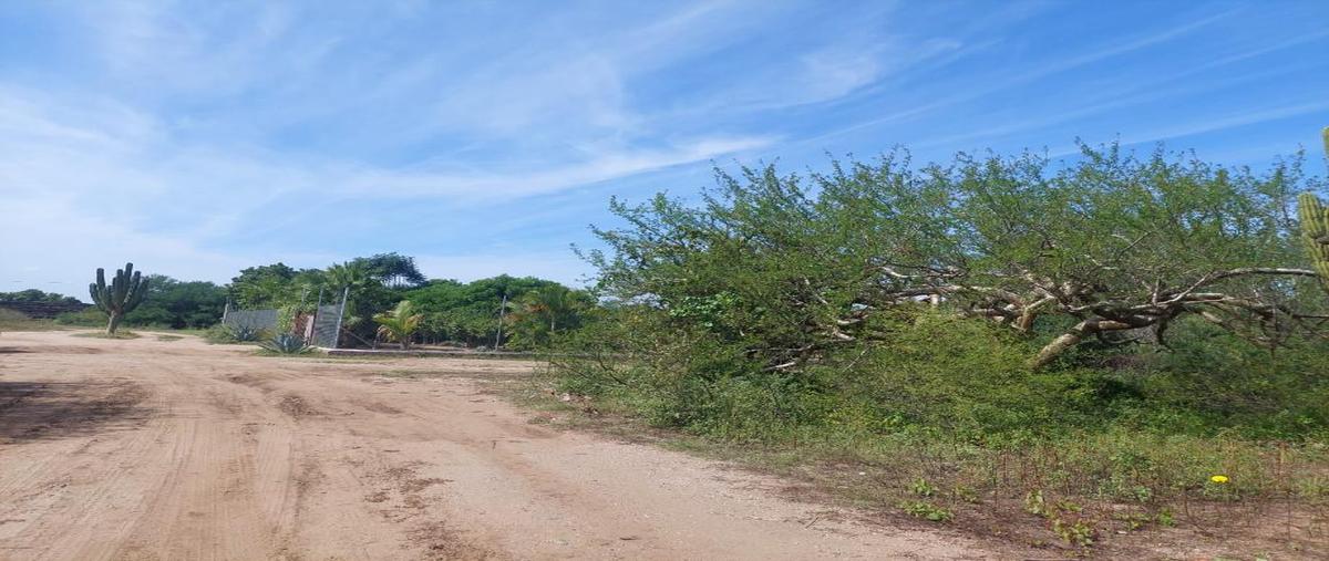 Foto de terreno habitacional en venta en sin nombre , san pedro, la paz, baja california sur, 0 No. 05