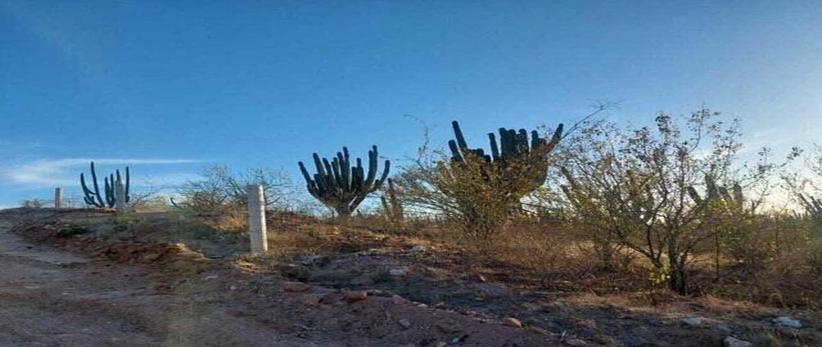 Foto de terreno habitacional en sin nombre , san pedro, la paz, baja california sur, 0 foto 03 Foto de terreno habitacional en venta en sin nombre , san pedro, la paz, baja california sur, 0 No. 03
