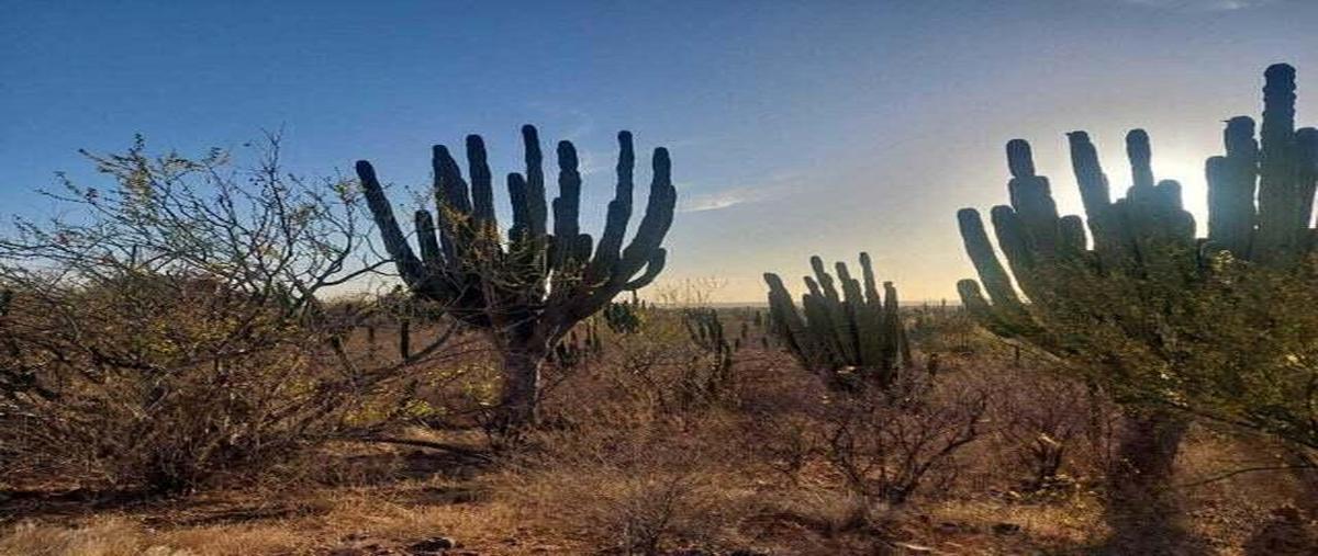 Foto de terreno habitacional en sin nombre , san pedro, la paz, baja california sur, 0 foto 05 Foto de terreno habitacional en venta en sin nombre , san pedro, la paz, baja california sur, 0 No. 05