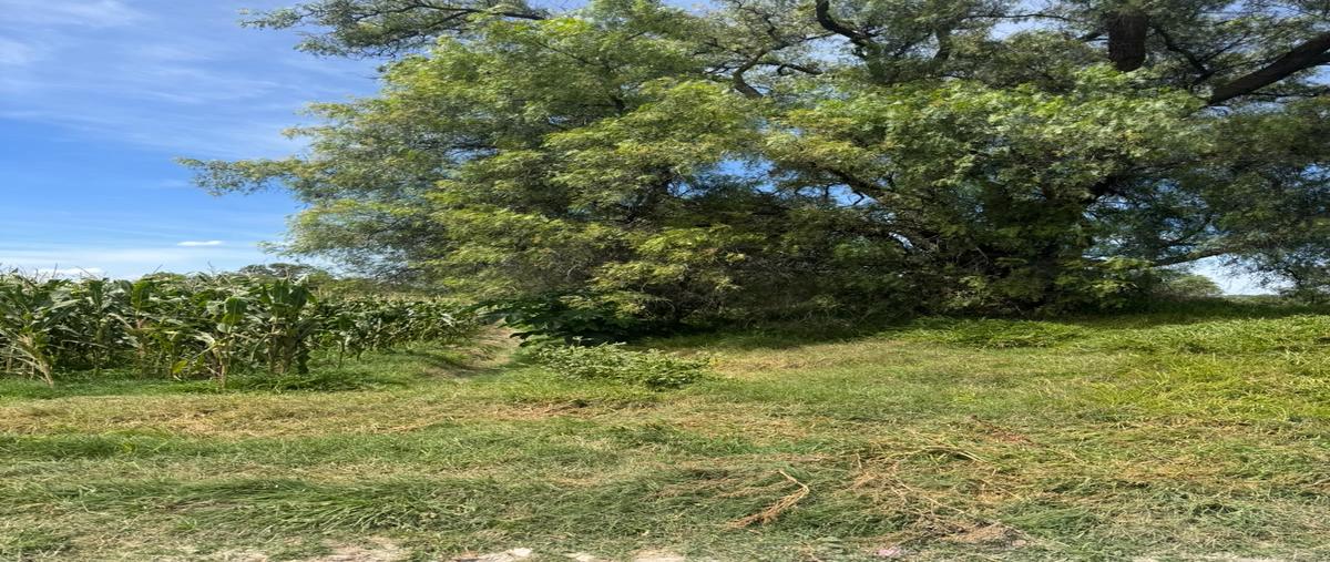 Foto de terreno habitacional en venta en sin nombre , san pedro (zitlaltepec), zumpango, méxico, 0 No. 04