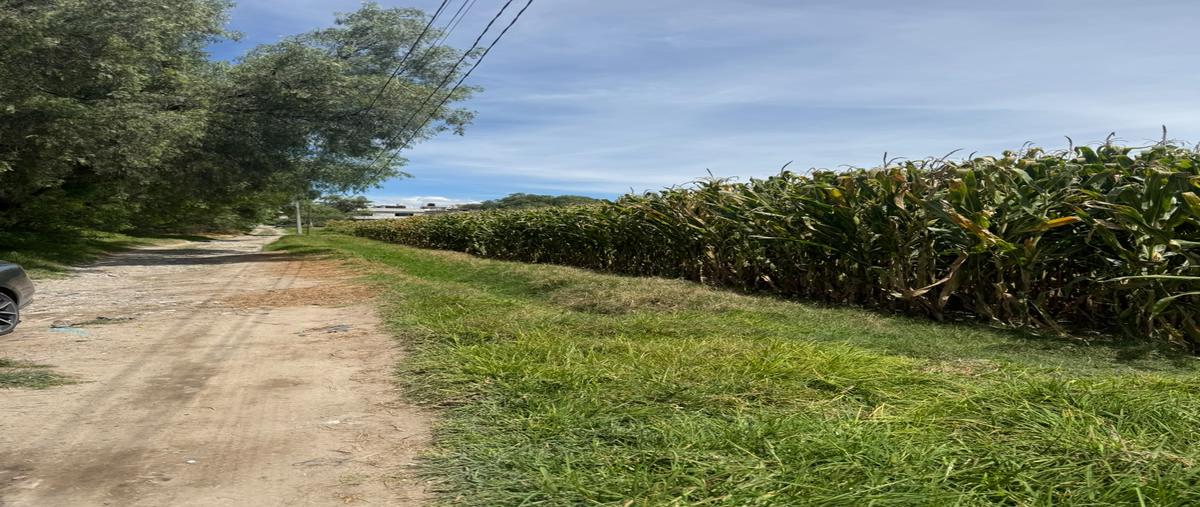 Foto de terreno habitacional en venta en sin nombre , san pedro (zitlaltepec), zumpango, méxico, 0 No. 05