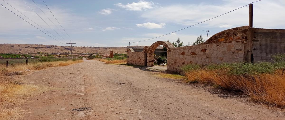 Foto de rancho en venta en sin nombre , san vicente de chupaderos, durango, durango, 24805888 No. 04
