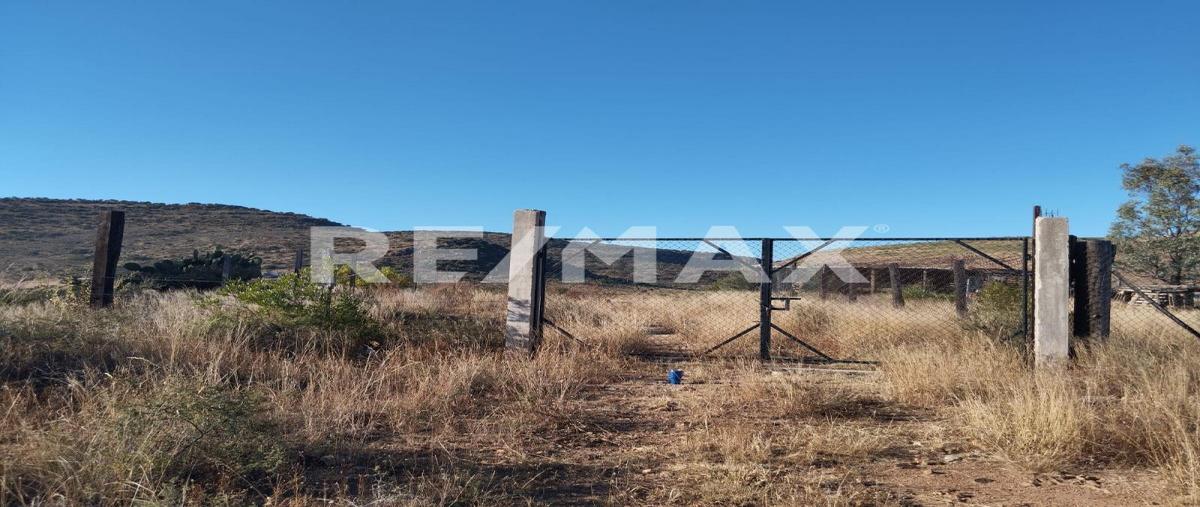 Foto de terreno habitacional en venta en sin nombre , san vicente de chupaderos, durango, durango, 28798751 No. 04